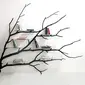 Sebastian Errazuriz, seorang seniman asal Chili mengubah sebatang pohon tumbang menjadi sebuah rak buku yang unik.