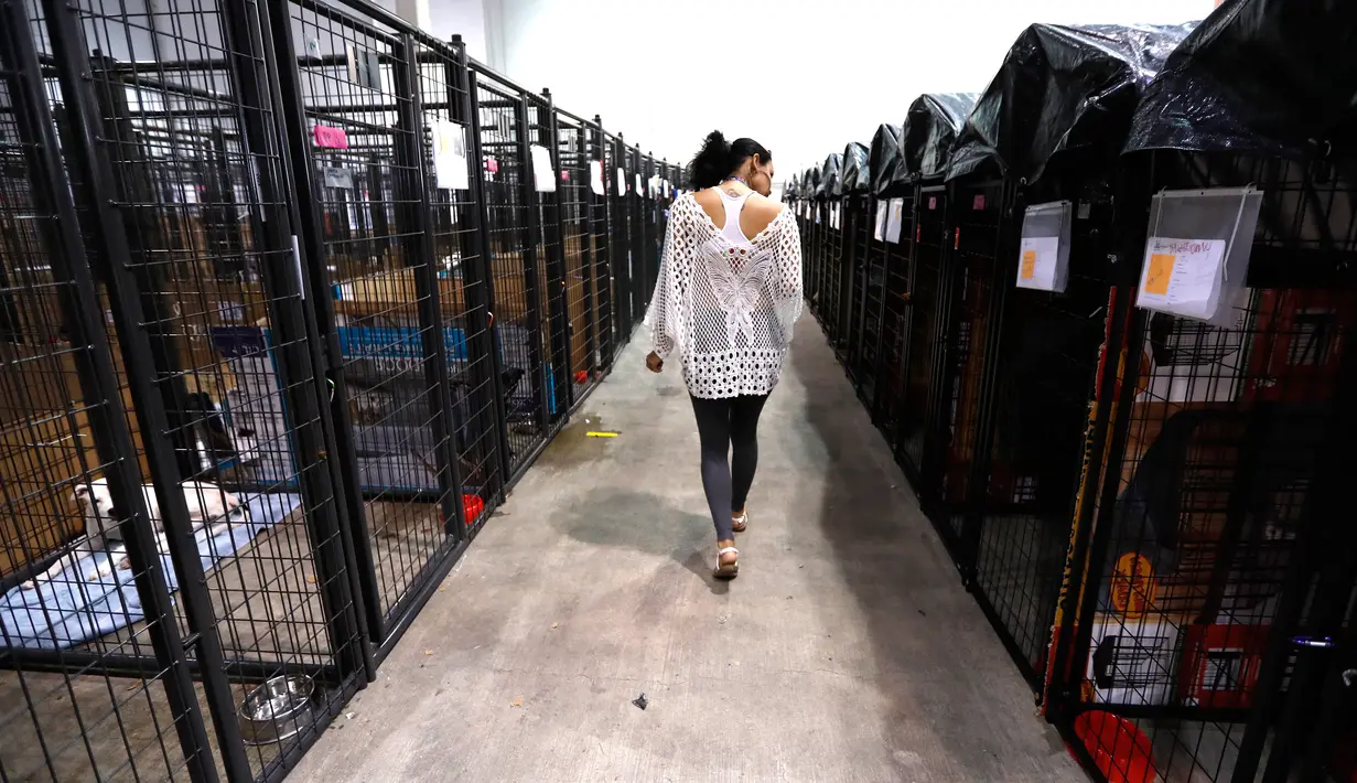 Jessica Herrera mencari anjingnya di NRG Arena, Houston (13/9). Relawan mengamankan 400 anjing dan 100 kucing untuk membantu menyatukan pemilik dengan hewan peliharaannya yang hilang akibat Badai Harvey. (Karen Warren/Houston Chronicle via AP)