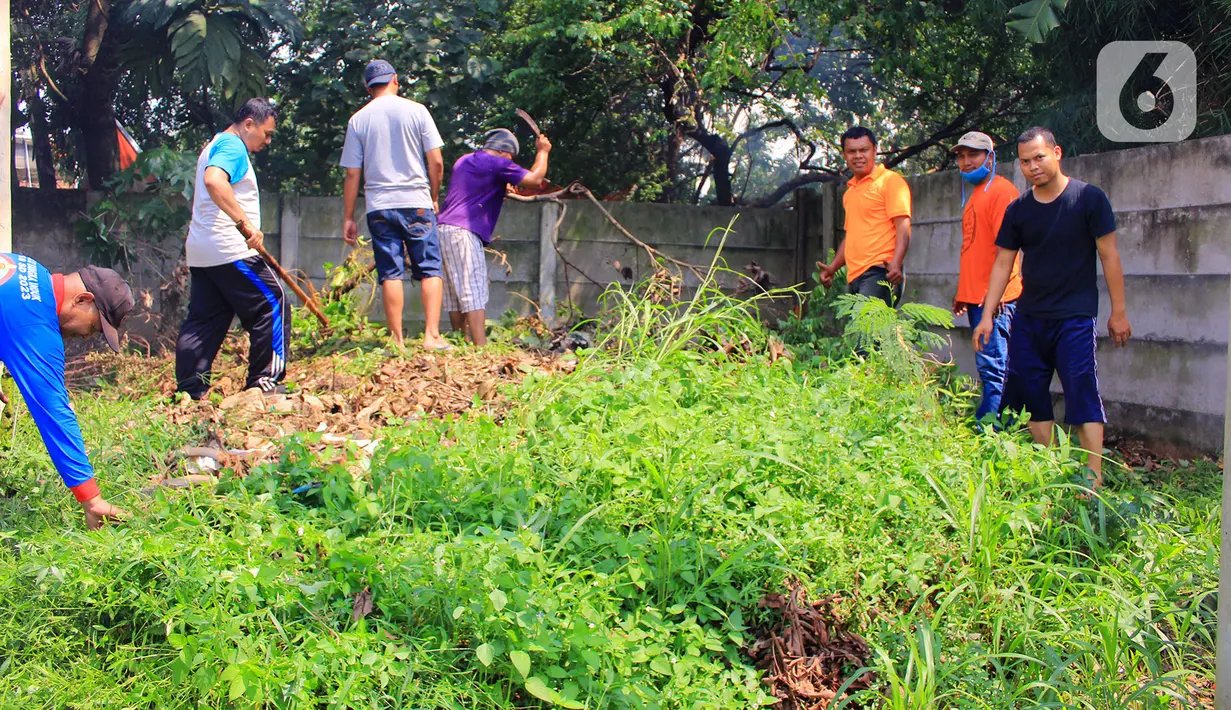 Warga Perumahan Citayam Village saat melakukan kerja bakti di Bojonggede, Kab. Bogor, Sabtu (14/12/2019). Seekor anak ular kobra itu berhasil ditemukan warga yang kerja bakti untuk membersihkan lingkungan sekaligus melakukan penyisiran pencarian induk ular kobra (merdeka.com/Magang/Muhammad Fayyadh)