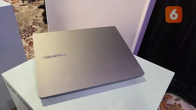 Asus Expertbook P3