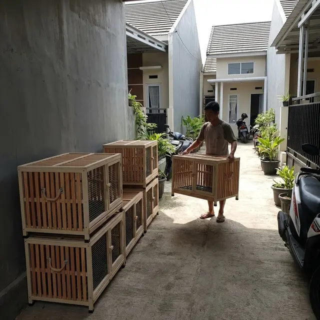 Model Kandang Ayam di Gang Sempit