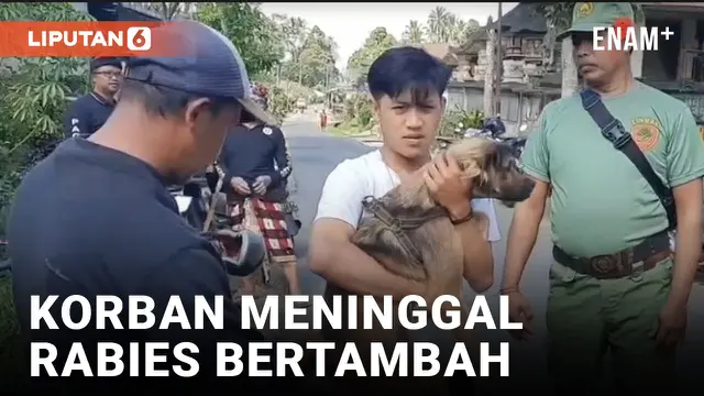 Korban Meninggal Akibat Rabies di Bali Bertambah