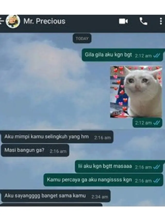 6 Chat Mimpi Pacar Selingkuh Ini Penuh Drama, Kocak