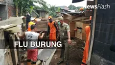 Sejumlah unggas jenis ayam milik warga di Kelurahan Rambutan, Ciracas, Jakarta Timur mati mendadak. 
