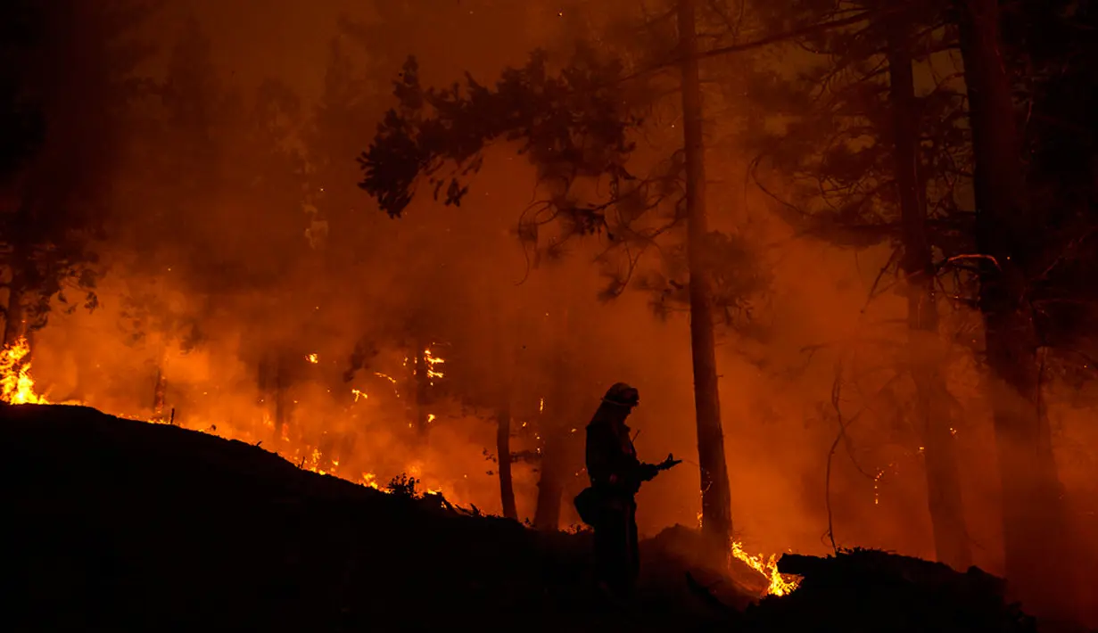 Seorang petugas pemadam kebakaran dari California Department of Forestry and Fire Protection Santa Clara Unit menyiram titik panas saat memerangi Mosquito Fire dekat Michigan Bluff di Placer County, California, Amerika Serikat, 7 September 2022. (Stephen Lam/San Francisco Chronicle via AP)