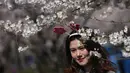 Seorang pengunjung menikmati pemandangan bunga sakura yang bermekaran di sekitar Tidal Basin, Washington, DC, Senin (1/4). Bunga sakura ini merupakan pemberikan Wali Kota Tokyo pada tahun 1912 yang merupakan hadiah sebagai bentuk persahabatan kedua negara. (Photo by MANDEL NGAN / AFP)