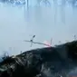 Api yang membakar pohon tidak mungkin dipadamkan karena tak ada armada pemadam hutan.