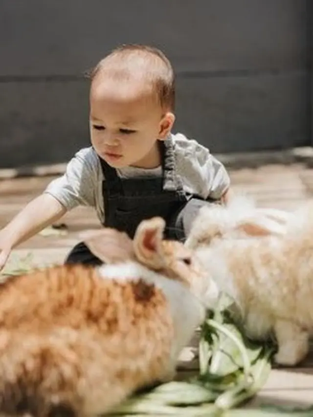 Potret Archie bermain bersama kelinci (Sumber: Instagram/@marcelchandra dan Instagram/@movenpickbali)