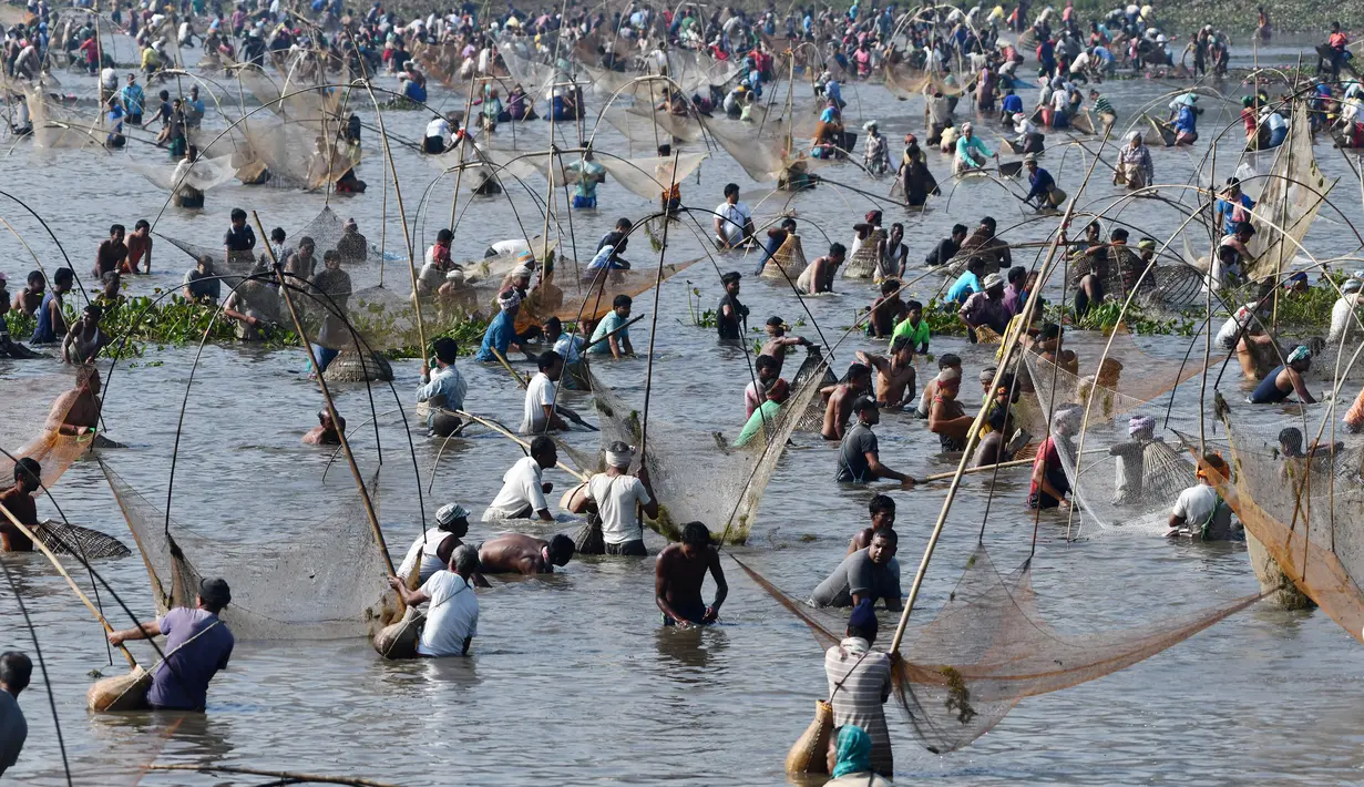 Penduduk desa mengikuti acara memancing bersama dalam perayaan panen Bhogali Bihu di Danau Goroimari di Panbari, Assam, India, pada 14 Januari 2020. “Bhogali Bihu” menandai berakhirnya musim panen di bagian timur laut negara bagian Assam. (Xinhua/Str)