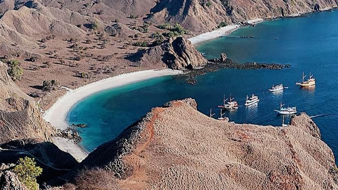 PNBP TN Komodo Tembus Rp 100 Miliar, Manggarai Barat Minta Bagi Hasil ke Pemerintah Pusat