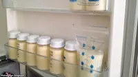 Cara Menyimpan ASI Beku
