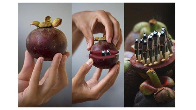 Wanita Ini Minta Latar Fotonya Diedit dengan Pohon Manggis, 7 Hasilnya Bikin Geleng Kepala