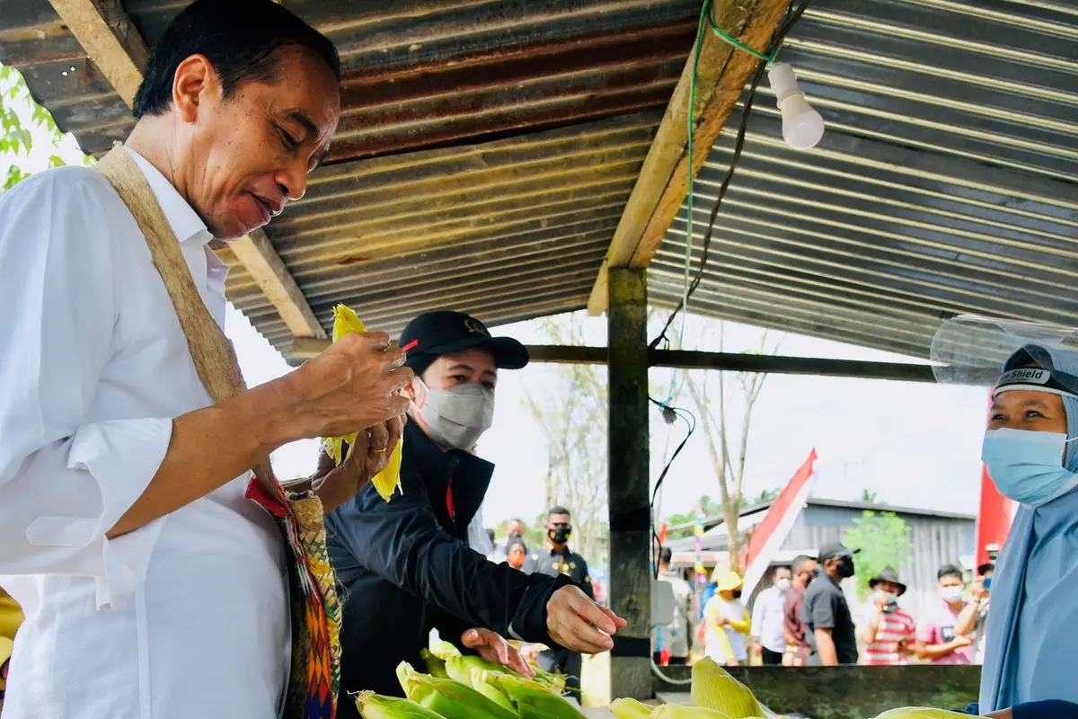 Presiden Jokowi menyempatkan diri mampir untuk membeli jagung rebus di penjual pinggir jalan disela-sela kunjungan kerja di Sorong, Papua Barat.
