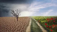 Climate Crisis Impacts on Gender Inequality