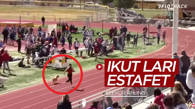 Berita video momen lucunya seekor anjing yang ikut lomba lari estafet dan catatan waktunya hanya terpaut sedetik lebih lambat dari rekor Usain Bolt.