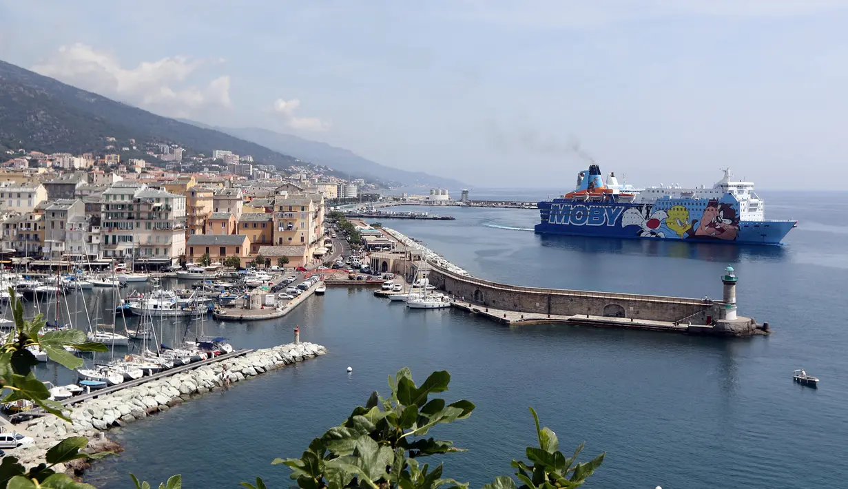 Kapal pesiar Moby Dada bersiap meninggalkan pelabuhan Bastia saat peresmian jalur baru antara Nice dan Bastia, Prancis (10/6). Kapal pesiar dari perusahaan Moby Lines ini bergambar tokoh kartun Looney Tunes. (AFP Photo/Valery Hache)