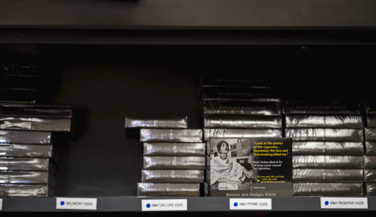 Dalam waktu satu tahun, rokok ukuran besar yang menampilkan label kesehatan individu yang baru diperkirakan akan tersedia di toko-toko, diikuti oleh rokok ukuran biasa pada awal 2025, AFP melaporkan. (ANDREJ IVANOV / AFP)