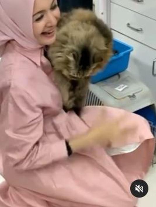 Hidup sendiri tanpa anak dan suami membuat Henidar Amroe menghabiskan waktu senggangnya bersama anak-anak anabul. Ia bisa menangis berbulan-bulan bila salah satu kucingnya hilang. (Foto: Instagram/@henidaramroe)