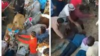Rela diinjak sapi untuk mendapatkan kebahagiaan, ritual aneh bin unik menjelang diwali ini jadi sorotan warganet. Sumber: Odditycentral