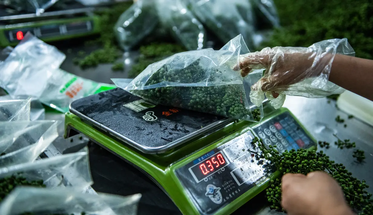 Seorang pekerja menimbang kemasan merica Sichuan di sebuah pabrik di Wilayah Tongzi, Provinsi Guizhou, China barat daya (22/7/2020). Industri merica Sichuan di Wilayah Tongzi telah menjadi industri penting yang membantu mengangkat masyarakat setempat keluar dari jurang kemiskinan. (Xinhua/Tao Liang)