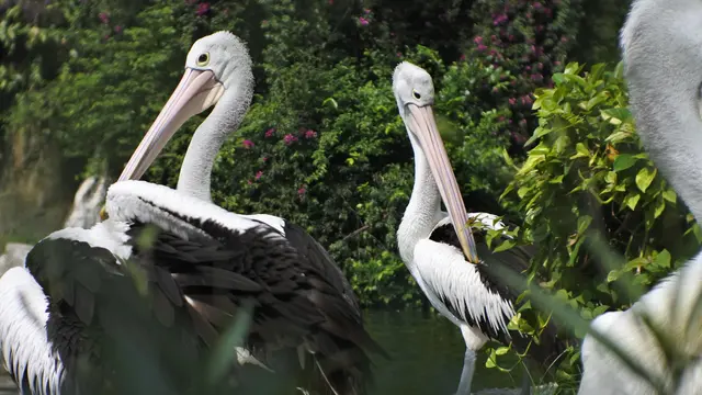 6 Rekomendasi Destinasi Wisata Libur Akhir Tahun Keluarga Seru dan Edukatif