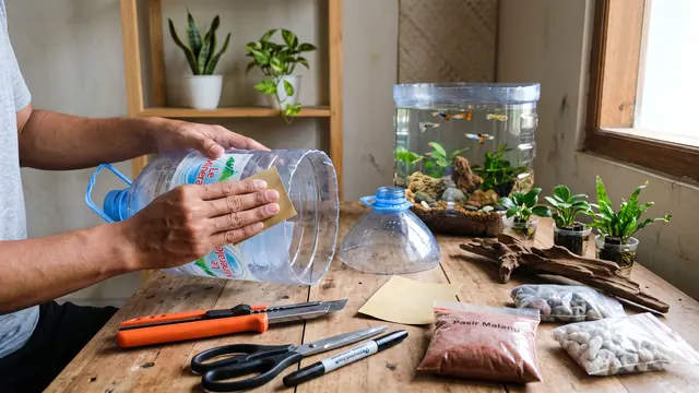 Cara Membuat Kolam Mini dari Galon Bekas untuk Ikan Guppy