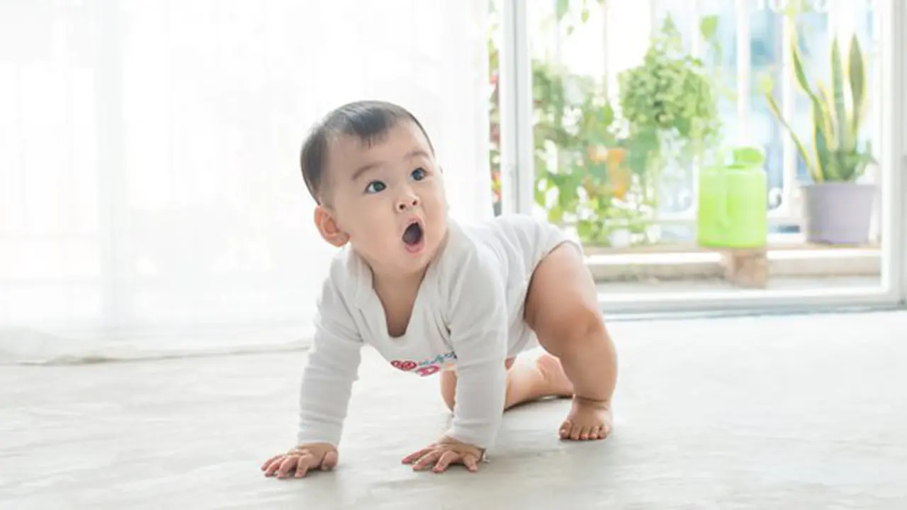 (c) Shutterstock
