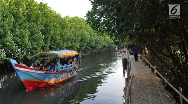 Perahu wisatawan melewati hutan mangrove di Sungai Rindu, Desa Hurip Jaya, Babelan, Bekasi, Jumat (7/6/2019). Berkeliling naik perahu melewati kawasan hutan mangrove di Sungai Rindu ini menjadi daya tarik para wisatawan lokal. (merdeka.com/Arie Basuki)