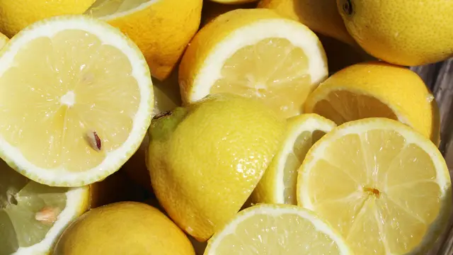 Ilustrasi lemon