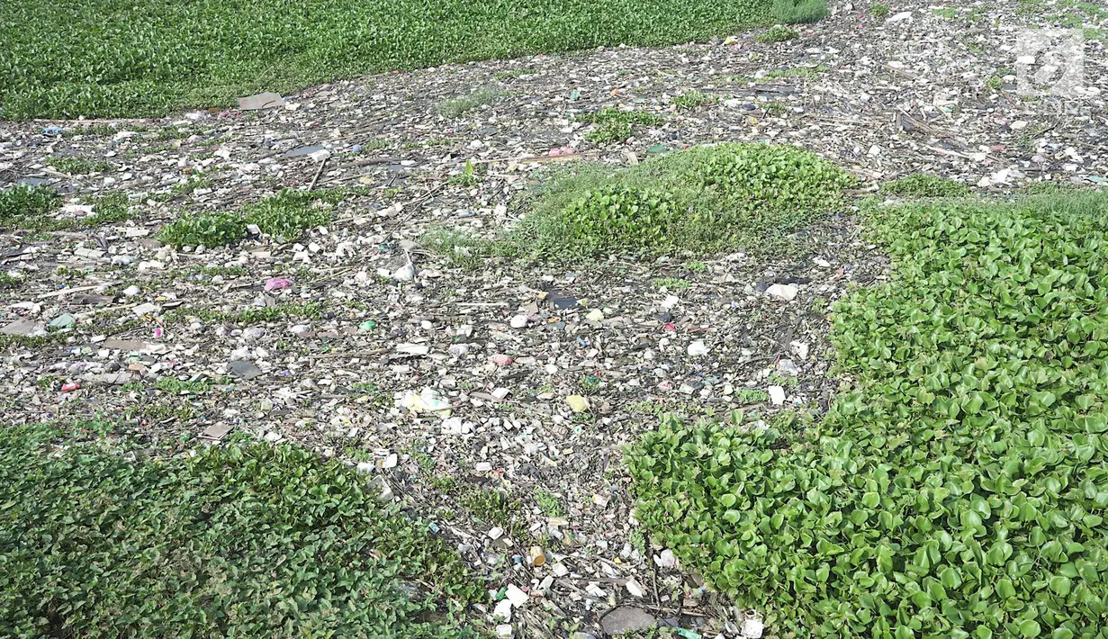 Penampakan sampah dan eceng gondok yang memenuhi Setu Pengarengan di Depok, Jawa Barat, Selasa (7/5/2019). Kurangnya perawatan menyebabkan Setu Pengarengan kian memprihatinkan. (Liputan6.com/Immanuel Antonius)