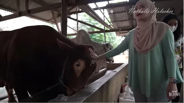 6 Potret Nathalie Holscher Berburu Sapi 1 Ton, Kurban Kedua Sejak Mualaf