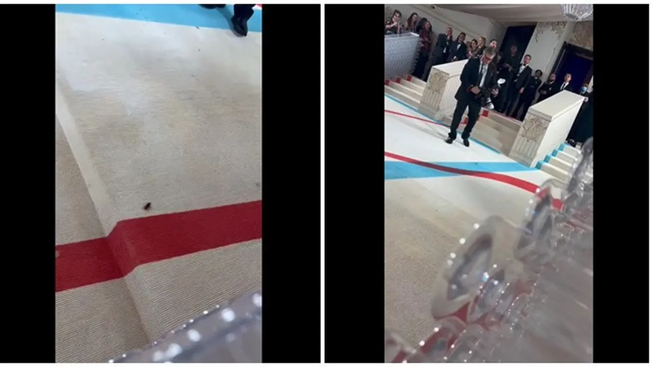 Berkeliaran di Red Carpet, Kecoak Hebohkan Met Gala 2023 Sampai Jadi Objek Foto