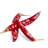 Ilustrasi Cabai Mala Pedas / Freepik by YuliiaKa