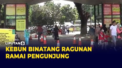 VIDEO: Pengunjung Kebun Binatang Ragunan Alami Kenaikan 50 Persen