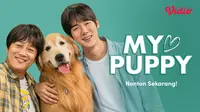 Nonton Film Korea My Puppy di Vidio, Kisah Anjing yang Mencari Rumah Baru