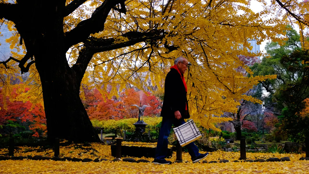Cantiknya Taman-Taman Tokyo Kala Musim Gugur