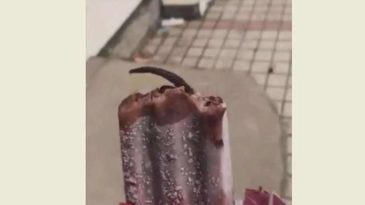 [Bintang] Heboh! Perempuan Ini Menemukan Ekor Tikus di Dalam Es Krim yang Sedang Dimakannya