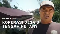 Koperasi Merah Putih yang keberadaan bangunannya sering jadi sorotan karena lokasinya banyak yang jauh dari permukiman. Sebuah video yang lagi viral, memperlihatkan koperasi desa ada di tengah hutan, di bawah kaki gunung.