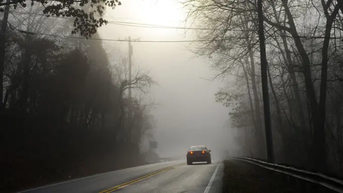 Ilustrasi | Foto: Shutterstock