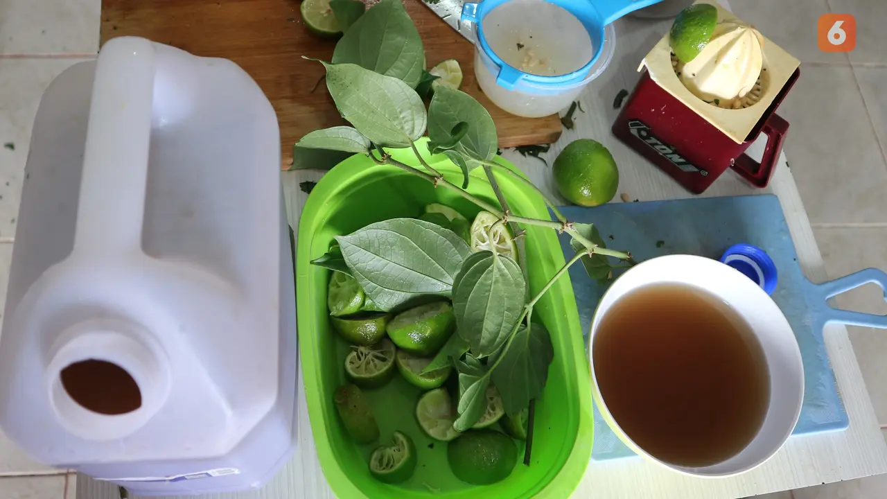bahan disinfektan herbal