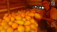 Pedagang timun suri merapikan dagangannya di Pasar Induk Kramat Jati, Jakarta, Rabu (23/5). Pedagang menjual timun seharga Rp 7 ribu per kilogram. (Merdeka.com/Imam Buhori)