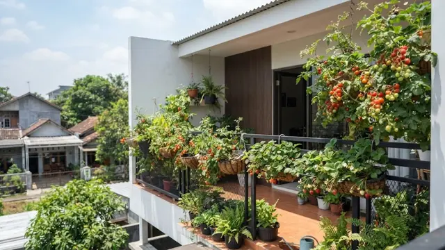 Inspirasi Pagar Balkon untuk Tanaman Gantung