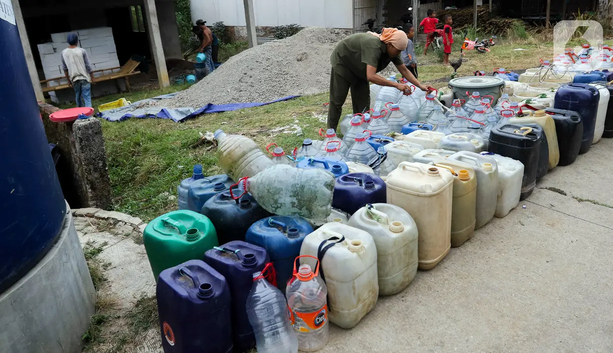 Kekeringan membuat area persawahan mengering karena kekurangan pasokan air. (Liputan6.com/Herman Zakharia)