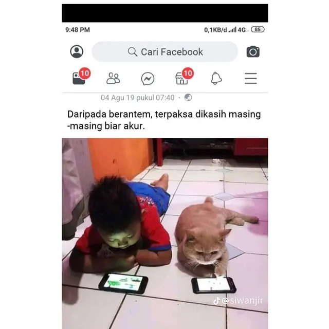 6 Status Facebook Orang Pelihara Kucing Ini Bikin Ngakak,