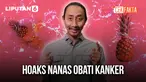 Thumbnail cek fakta nanas