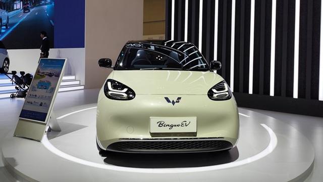 BinguoEV