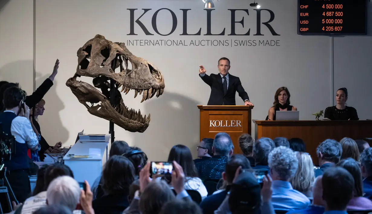Direktur rumah lelang Koller Cyril Koller (Tengah) memberi isyarat di sebelah tengkorak 'Trinitas' selama penjualan kerangka Tyrannosaurus-Rex (T-Rex) oleh rumah lelang Koller di Zurich, pada 18 April 2023. (Photo by Fabrice COFFRINI / AFP)