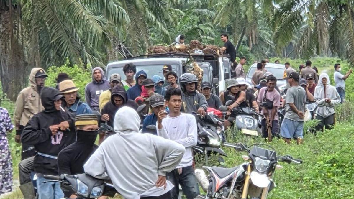 Ratusan Warga Bentrok dengan Petugas di Kebun Sawit, Lima Orang Terluka