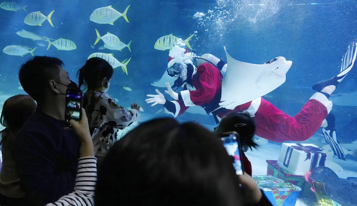 Seorang penyelam berpakaian Sinterklas menyapa pengunjung pada acara untuk mempromosikan liburan Natal di Coex Aquarium, Seoul, Korea Selatan, Jumat (3/12/2021). Natal adalah salah satu hari libur terbesar yang dirayakan di Korea Selatan. (AP Photo/Ahn Young-joon)