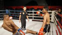 Sebanyak 17 petarung yang mayoritas dari daerah berhasil menjadi juara di Kejuaraan Muay Thai Road to Victory (RTV) 9. (Muay Thai Road to Victory/Edward Luhukay)